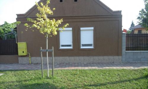 Rulouri albe maro2