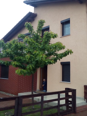 rulouri exterioare 23